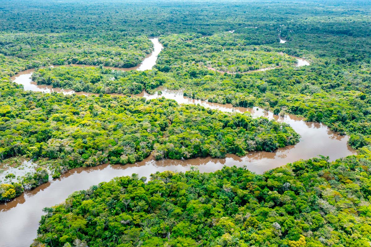 Amazonas